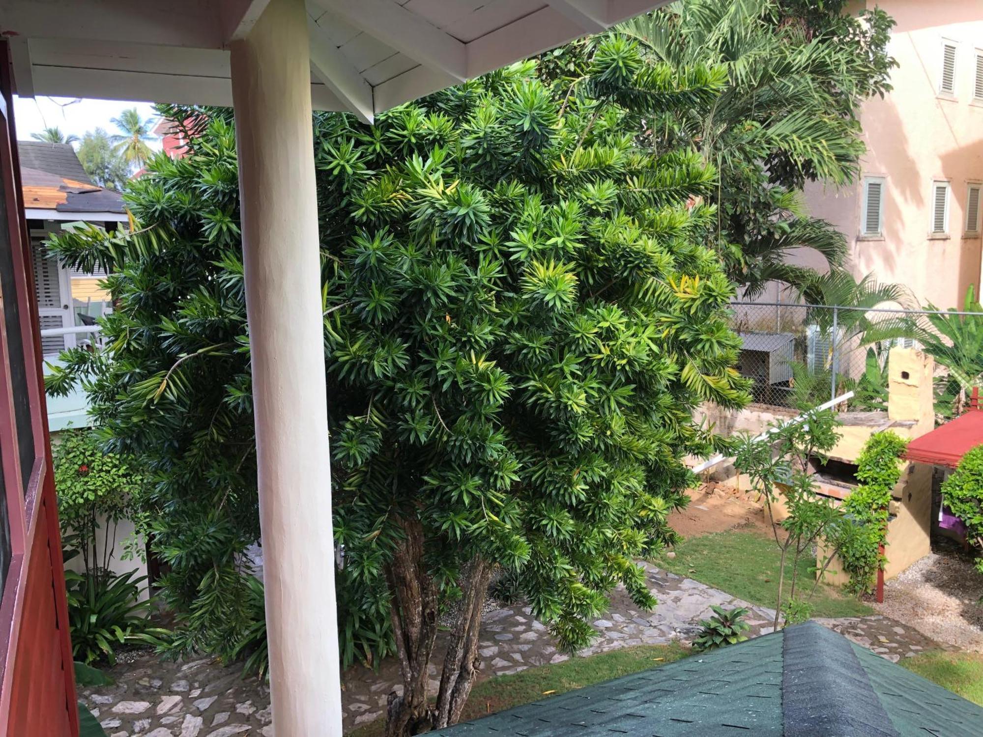 Hotel Casa Robinson Las Terrenas Exterior photo