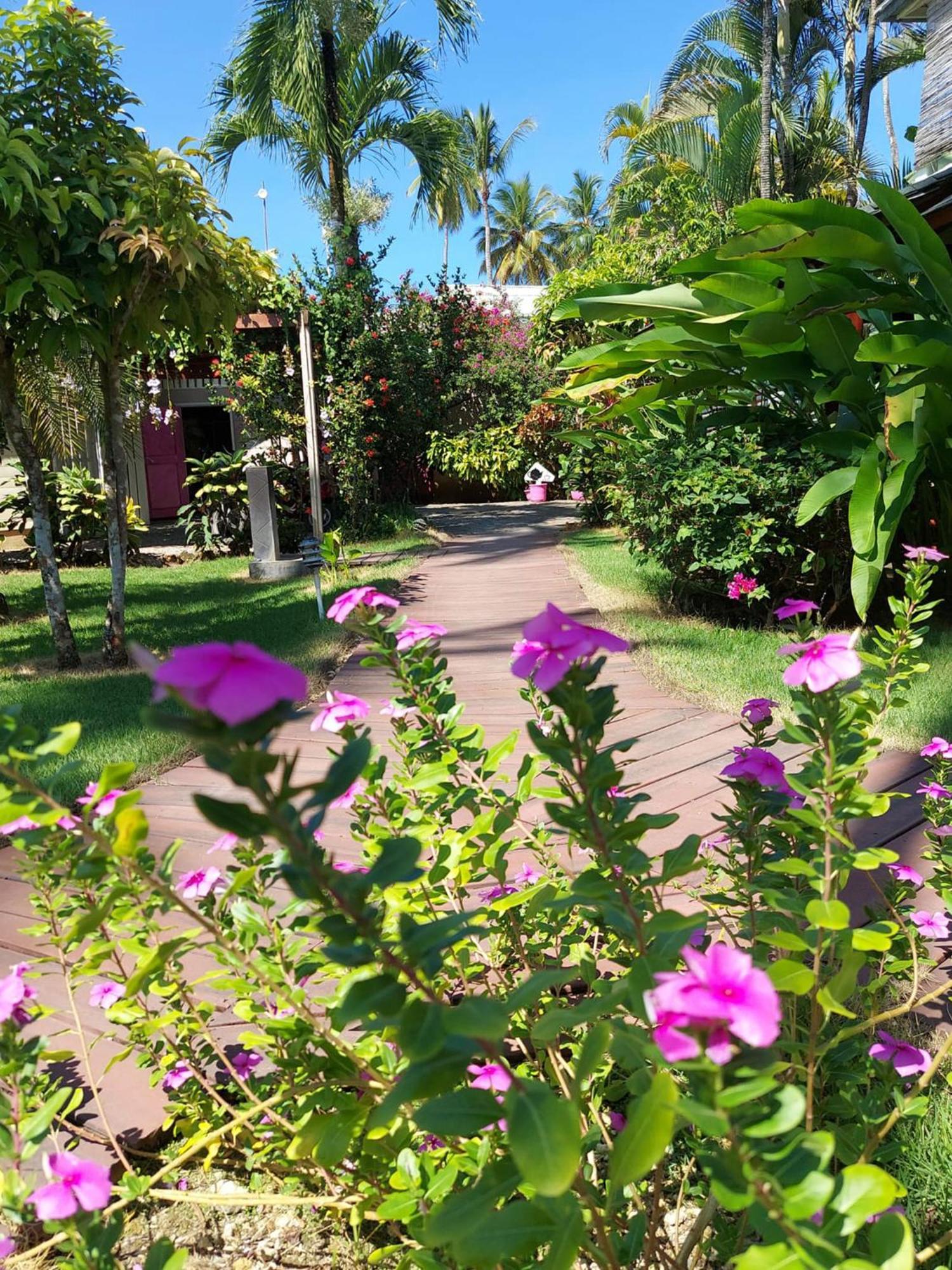 Hotel Casa Robinson Las Terrenas Exterior photo