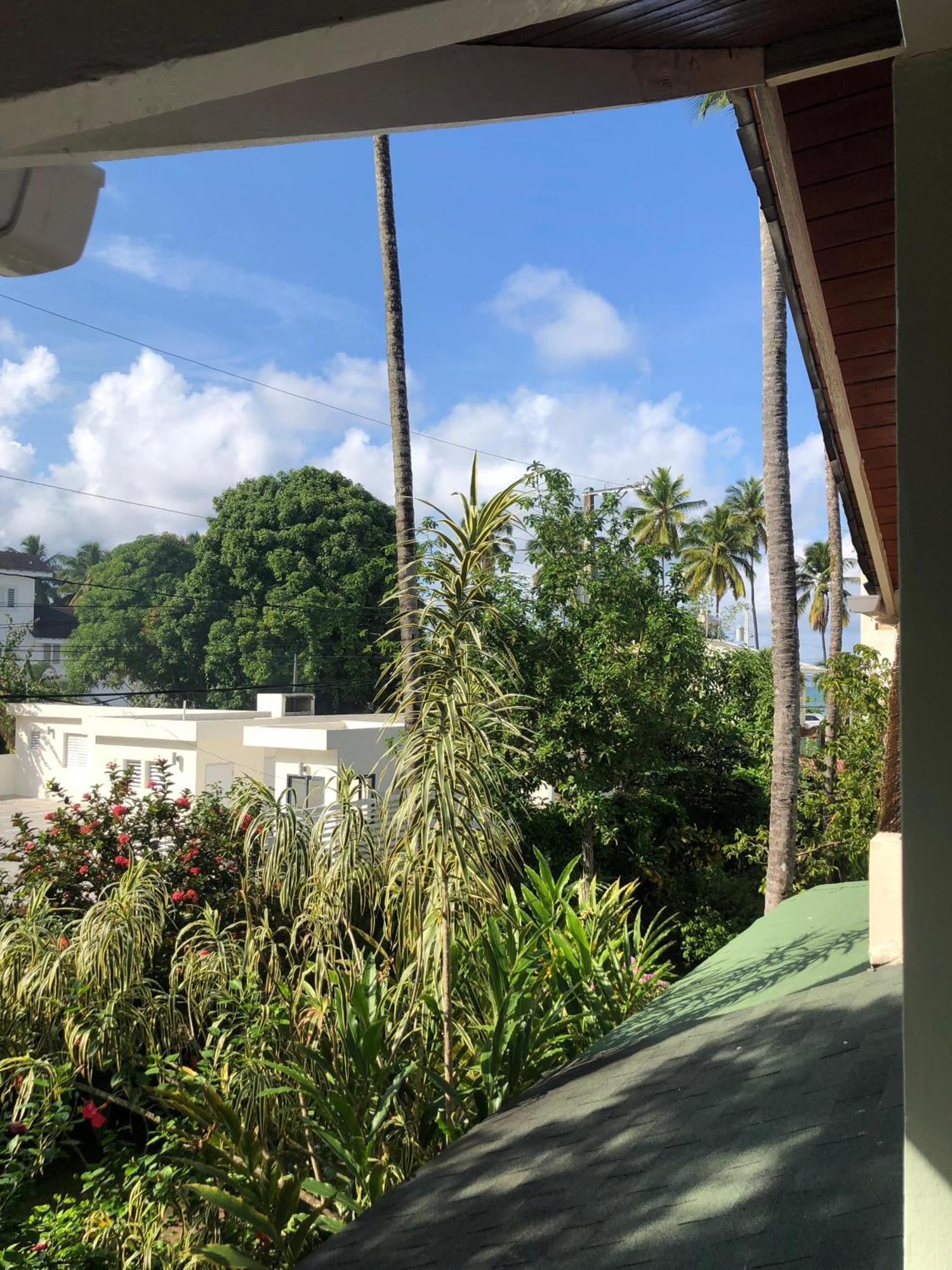 Hotel Casa Robinson Las Terrenas Exterior photo